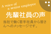 先輩社員の声